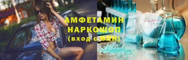 индика Аркадак