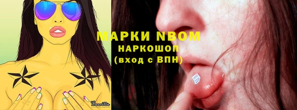 индика Аркадак