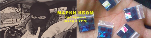 индика Аркадак
