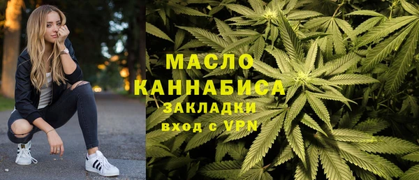 индика Аркадак