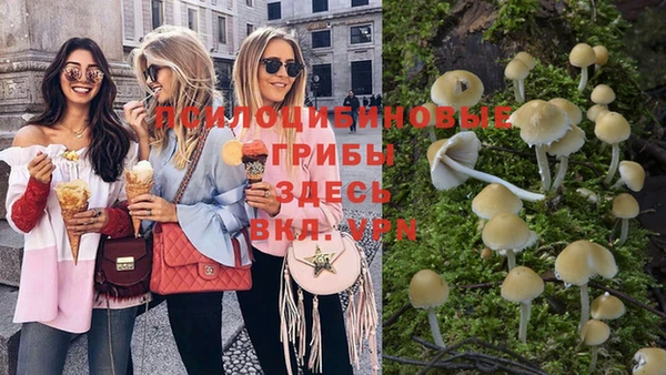 круглые Арсеньев