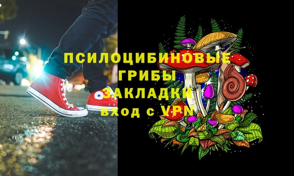 индика Аркадак
