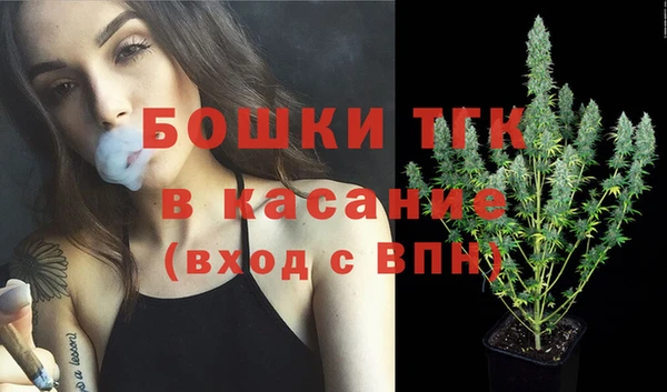 индика Аркадак