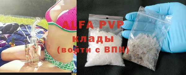 индика Аркадак