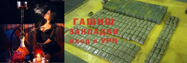 индика Аркадак