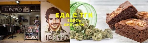 индика Аркадак